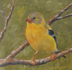 Goldfinch